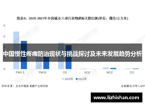中国慢性疼痛防治现状与挑战探讨及未来发展趋势分析 中国慢性疼痛防治现状与挑战探讨及未来发展趋势分析