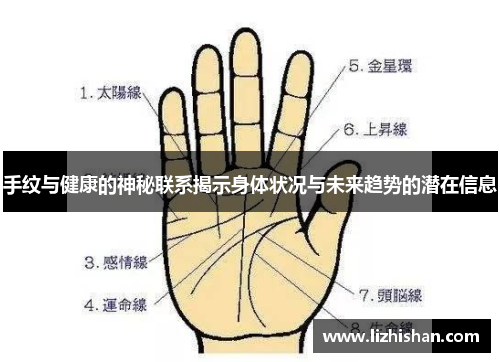 手纹与健康的神秘联系揭示身体状况与未来趋势的潜在信息 手纹与健康的神秘联系揭示身体状况与未来趋势的潜在信息