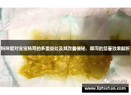 妈咪爱对宝宝肠胃的多重益处及其改善便秘、腹泻的显著效果解析 妈咪爱对宝宝肠胃的多重益处及其改善便秘、腹泻的显著效果解析