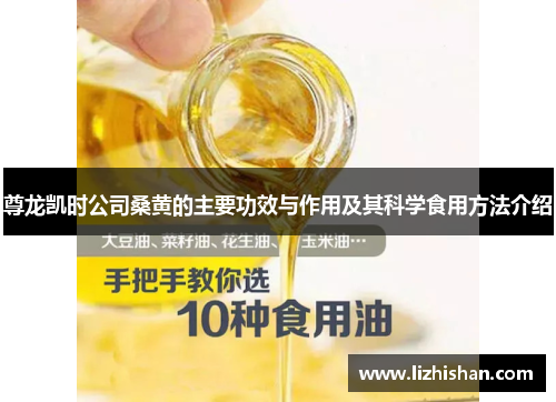 尊龙凯时公司桑黄的主要功效与作用及其科学食用方法介绍